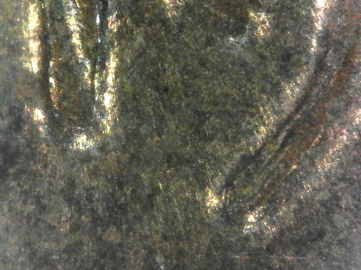 1982-D-Lg-Date-Broze,-MD?